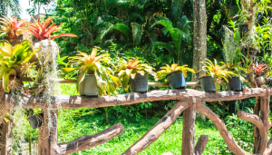 Como decorar um jardim pequeno?