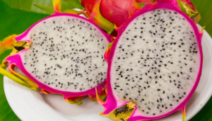 Como cultivar pitaya