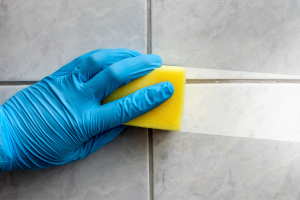 Limpeza de banheiro com produtos caseiros