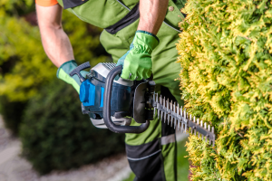 Quais são os serviços de jardinagem?