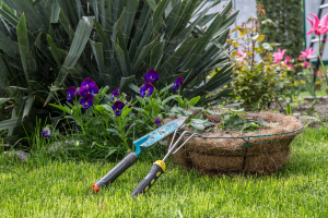 Os usos do bicarbonato de sódio no jardim são versáteis, incluindo a limpeza de ferramentas de jardinagem.