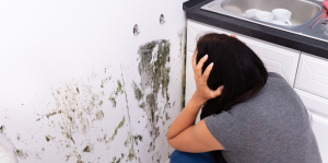 Dicas eficientes para remover mofo e umidade: Guia prático