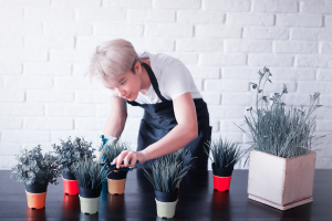 Erros que as Pessoas Cometem ao Cuidar das Plantas