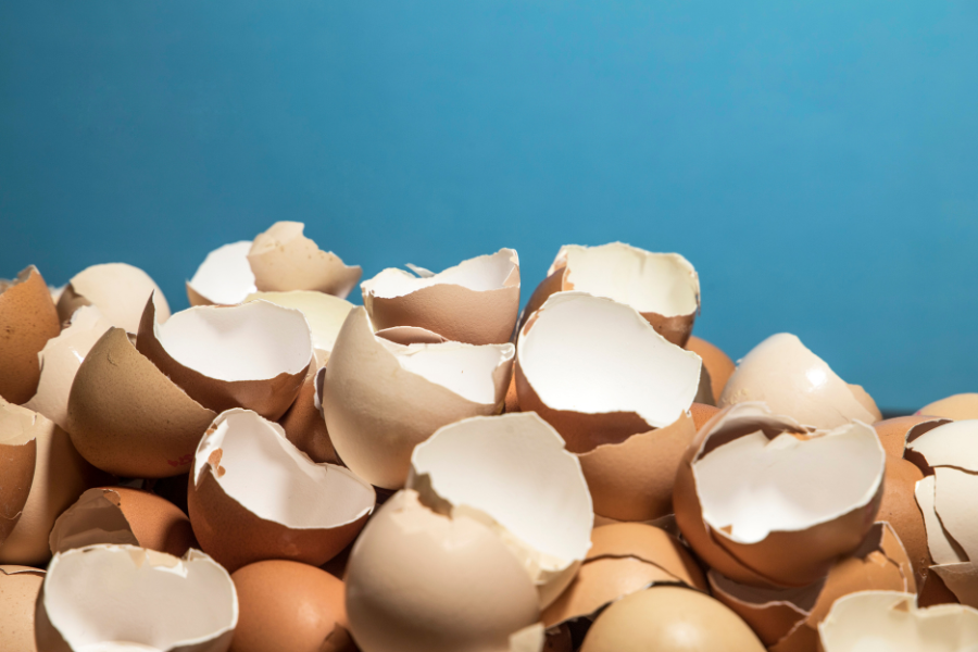 O chá de casca de ovo provou ser um fertilizante caseiro infalível.