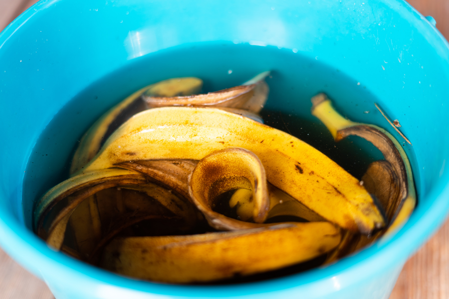 3 Usos Incríveis das Cascas de Banana