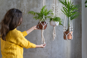 8 Lugares Terríveis para Colocar Plantas de Interior